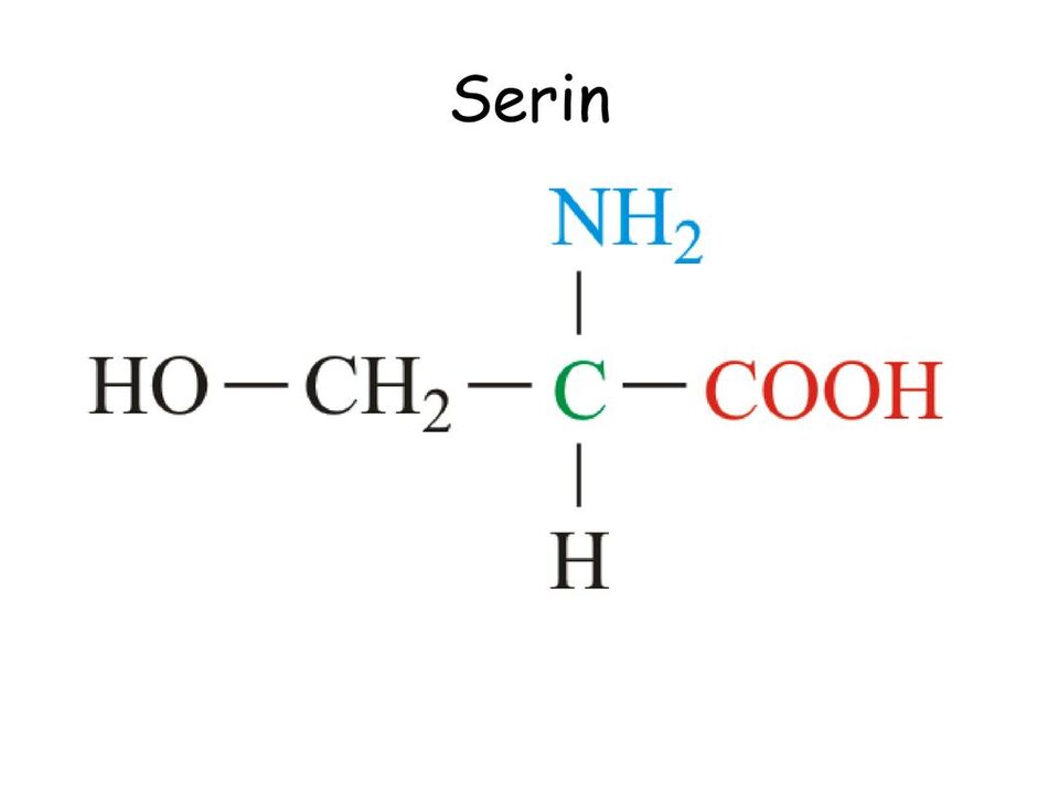 Serina in contagocce